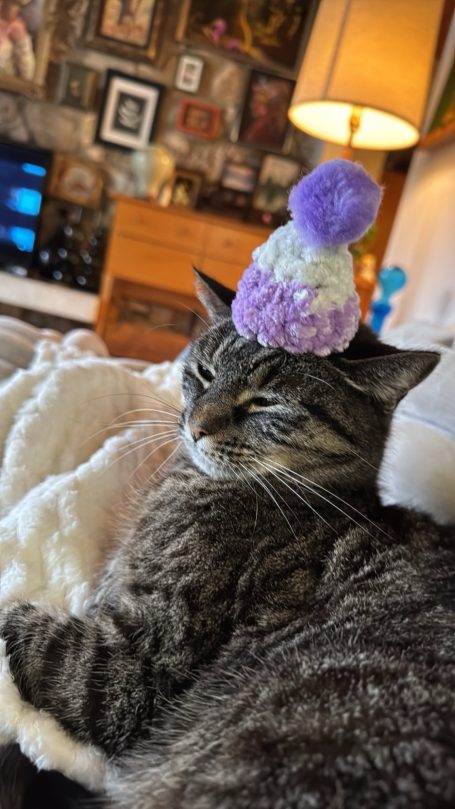 Hats are for Cats Too!